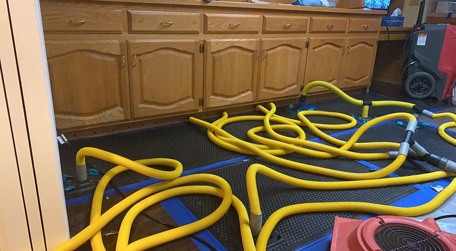 Emergency Water/Moisture Removal from Cabinetry