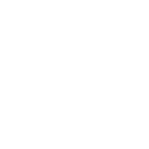 Fire Damage Icon