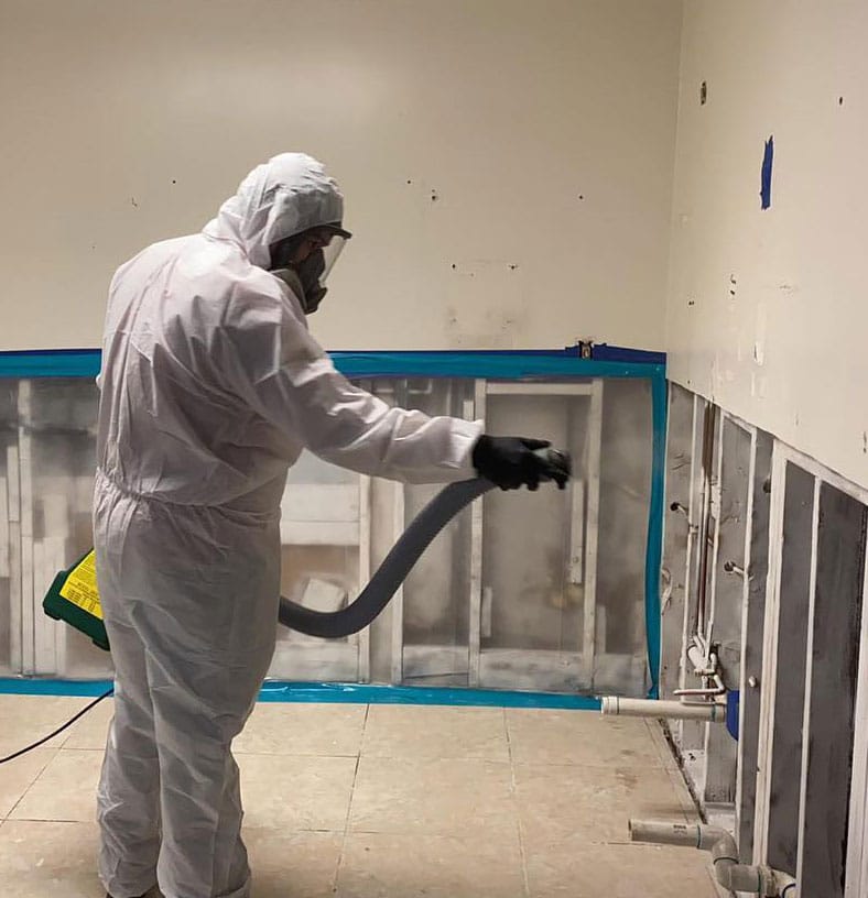 Mold Remediation Technician with ProRestoration Services - Removing Mold